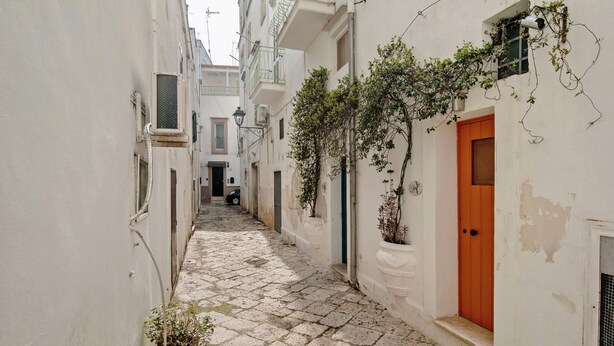 A narrow cobblestone alleyway between buildings with white walls, a red door, and potted plants.