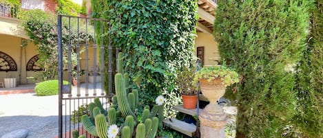 Une cour intérieure agrémentée de cactus, de plantes en pot et d’un portail en métal.