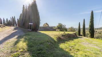 A rural road with a signpost, a stone wall, and tall cypress trees.