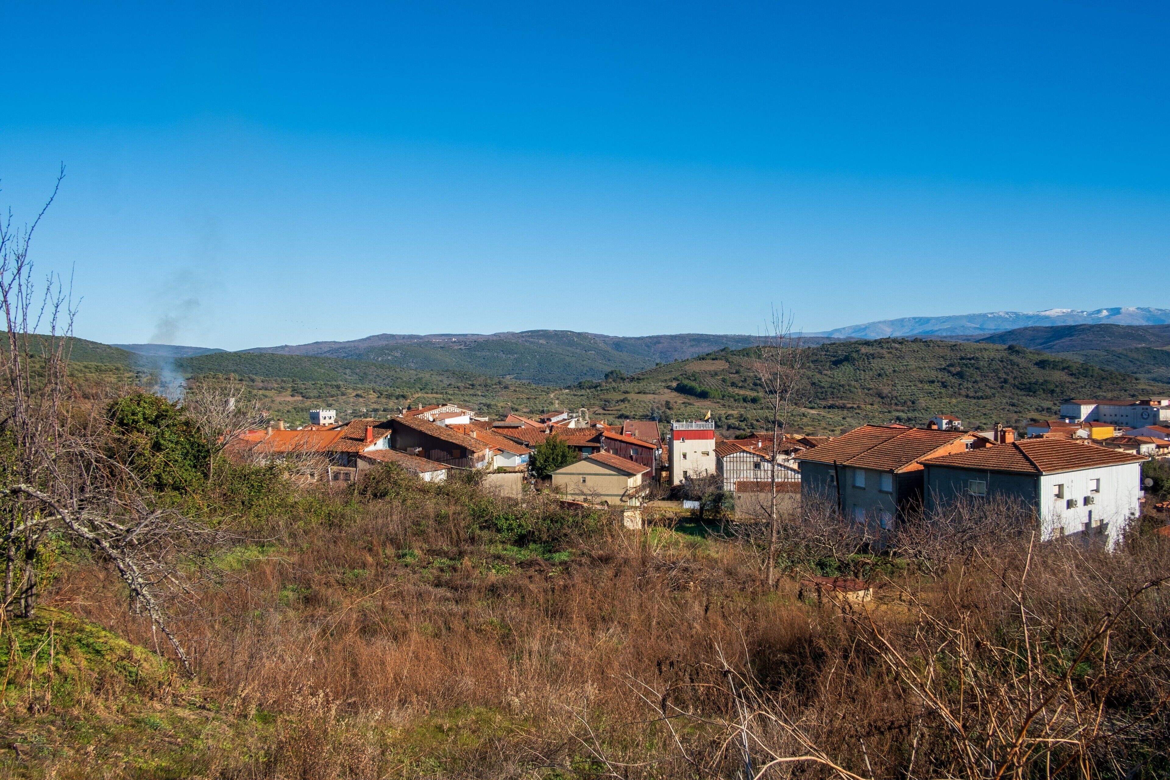 A rural village with houses and a mountain backdrop.