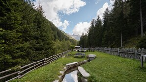 Un paysage naturel avec une clôture en bois, un petit ruisseau et un banc.