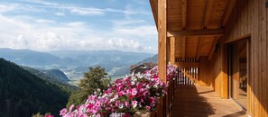 Property grounds - Apartment 'Huberhof  Enzian' with Mountain View, Private Terrace and Wi-Fi (Riomolino)