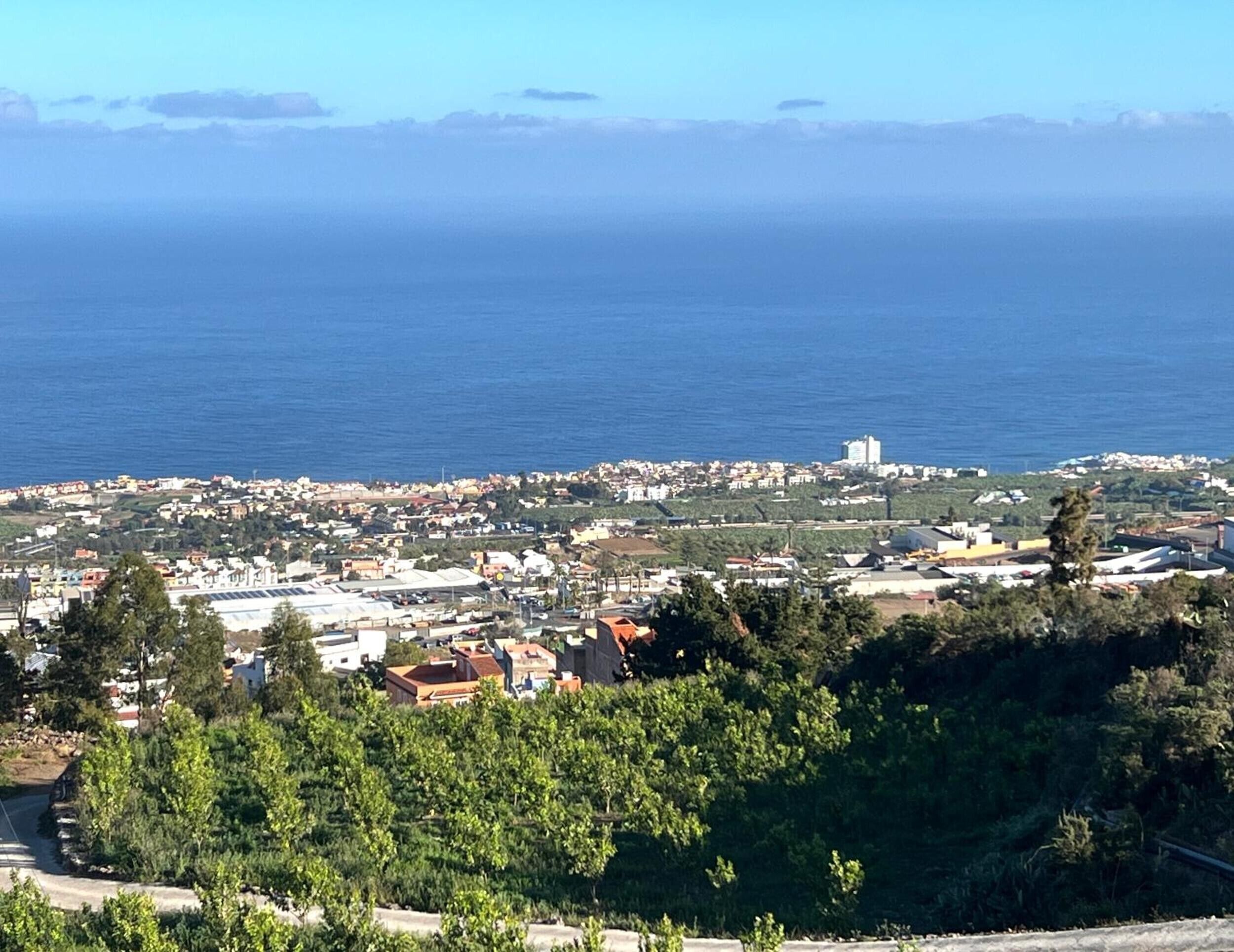 Un pueblo costero con vistas al mar, edificios y vegetación.