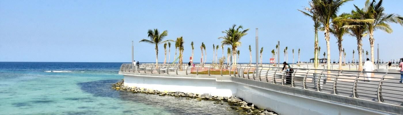 Une promenade en bord de mer, agrémentée d’une barrière en béton, de palmiers et offrant une vue dégagée sur la mer.