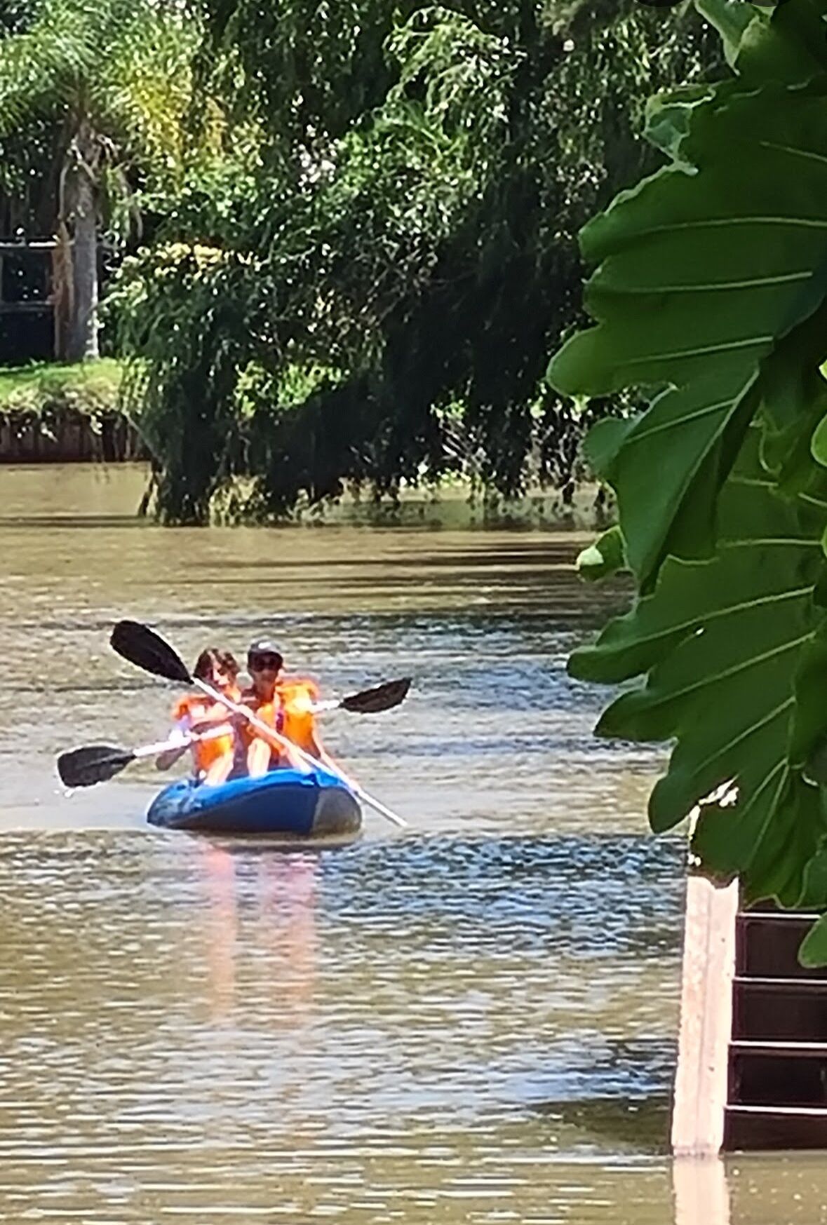 A group of people in a blue kayak on a calm body of water, surrounded by lush greenery.