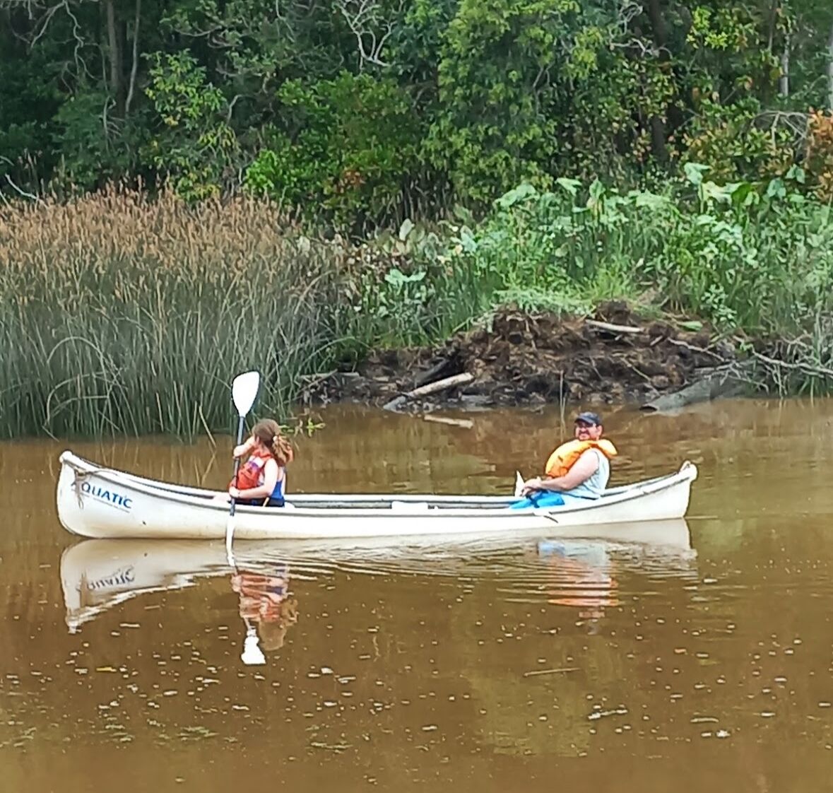Una canoa en un río tranquilo rodeado de vegetación densa.
