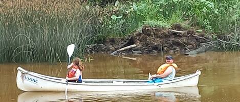 Una canoa en un río tranquilo rodeado de vegetación densa.