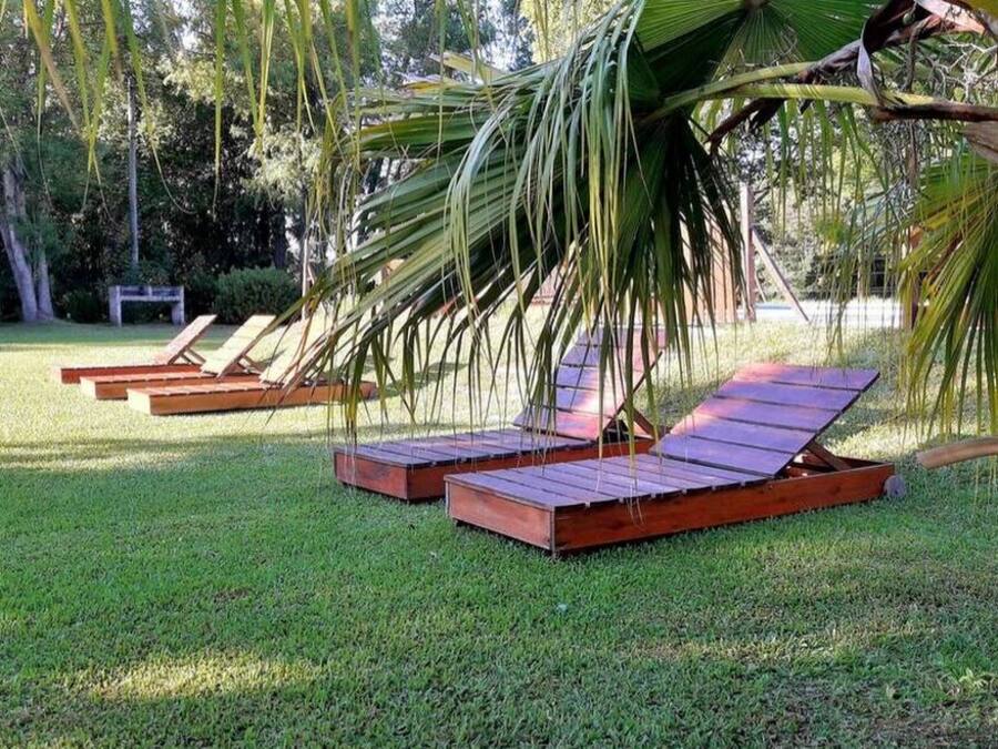 A grassy area with two wooden loungers under a palm tree.