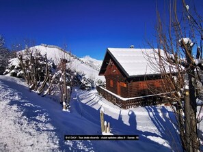 Exterior - 8 person chalet at the foot of the ski slopes in SAVOIE albiez-montrond resort  (Albiez-Montrond)