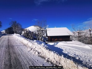 Exterior - 8 person chalet at the foot of the ski slopes in SAVOIE albiez-montrond resort  (Albiez-Montrond)