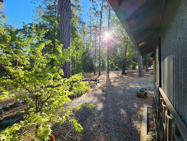 Terrein van de accommodatie