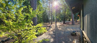 Forest Cottage Retreat