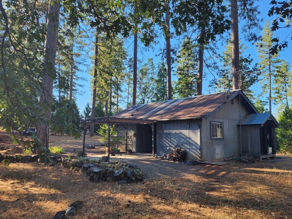Un chalet rustique avec un toit en métal, entouré de grands arbres et bordé d’une allée en gravier.