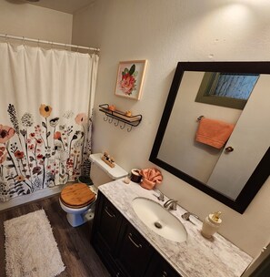 Hair dryer, towels, soap, shampoo