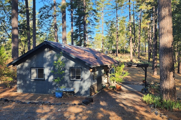 Àrea exterior de l'allotjament