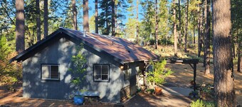 Forest Cottage Retreat