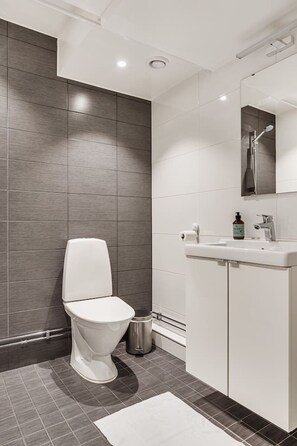 Secadora de cabello, toallas, jabón, papel de baño 