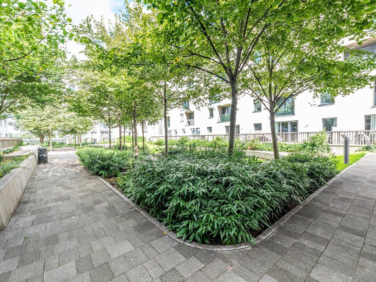 A landscaped pathway with a row of trees and shrubs, flanked by a building with multiple windows and balconies.
