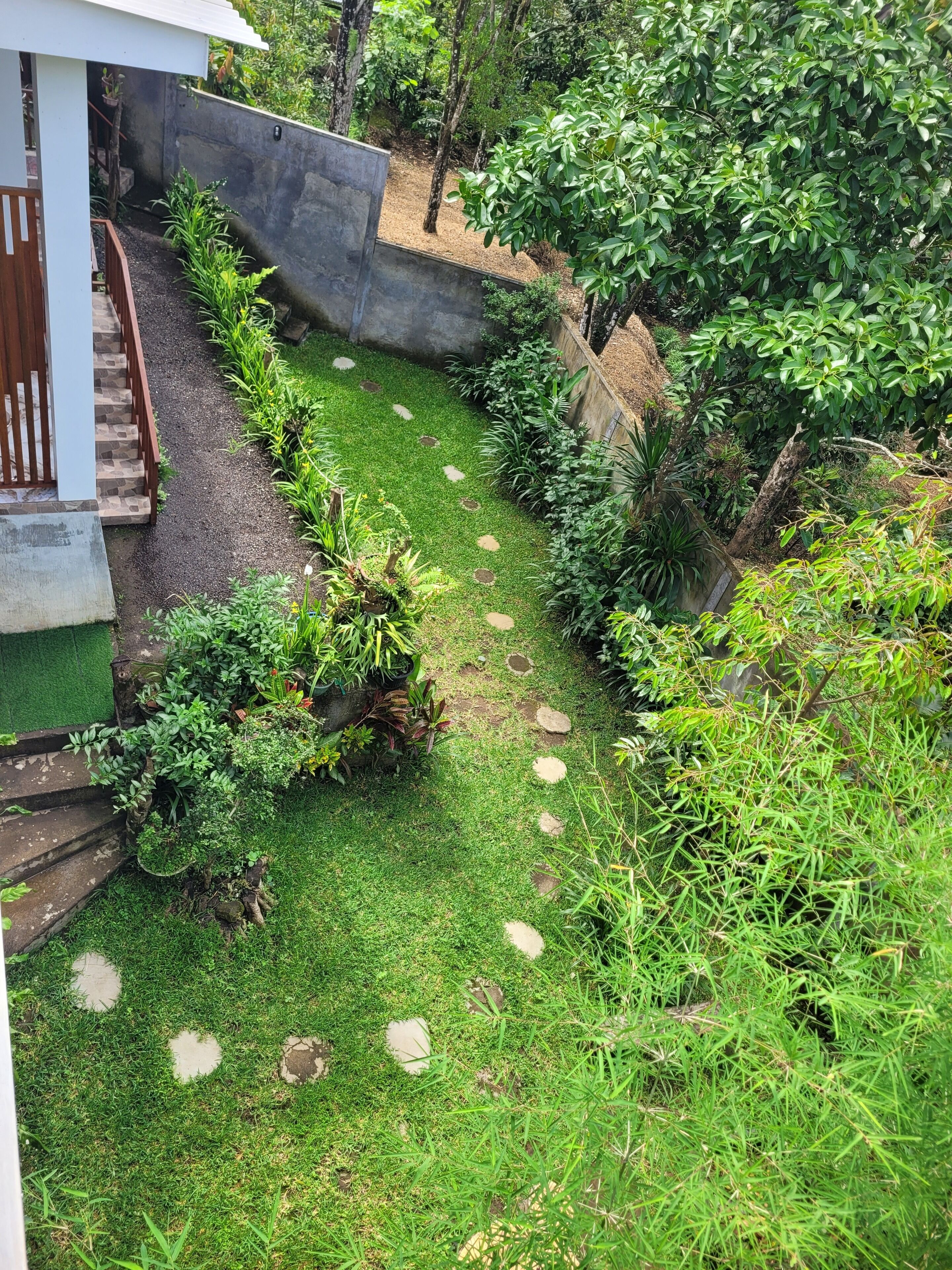 A garden with a stone pathway, various plants, and a wooden staircase leading to a building.