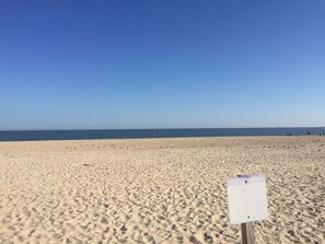 Plage à proximité, chaises longues, serviettes de plage