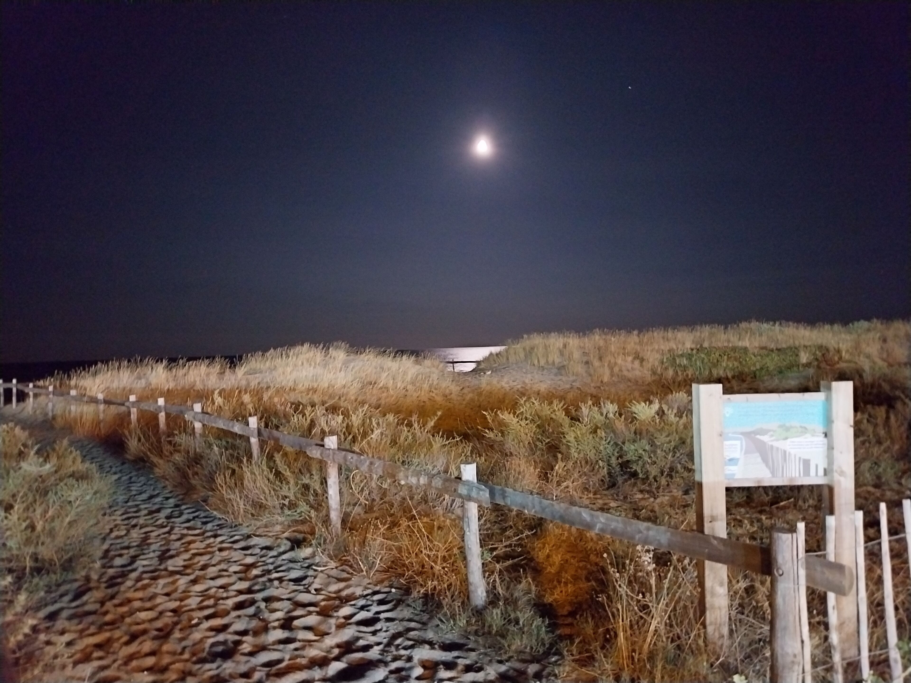 Una escena nocturna con un camino pavimentado que lleva a una estructura distante, rodeada de pasto seco y una valla de madera.