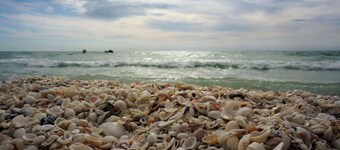 Beautifully Updated 1-bedroom condo in Charming Olde Marco