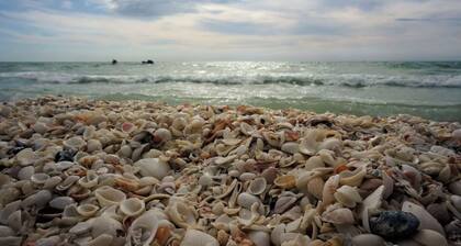 Beautifully Updated 1-bedroom condo in Charming Olde Marco