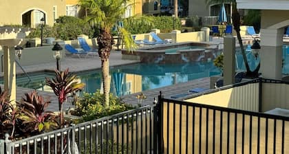 New Listing in Clearwater
King Bed Cozy Condo