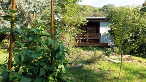 A wooden deck with a bench, surrounded by lush greenery and a small building with a sloped roof.