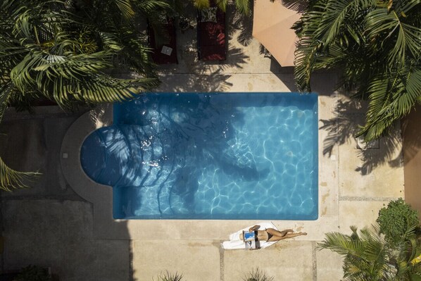 Vista aérea de una piscina rectangular rodeada de palmeras y un solárium de hormigón.
