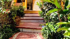 A tropical garden leading to a building with a bright orange facade and a stone wall.