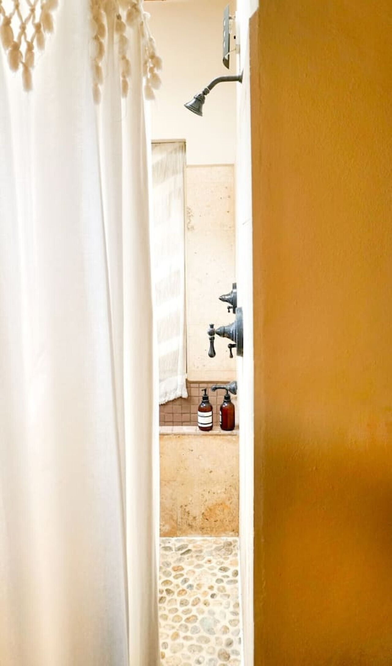 Une salle de bain avec une douche, un lavabo et deux bouteilles posées sur le comptoir.