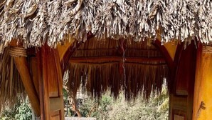 A wooden structure with a thatched roof, a small door, and a staircase leading to an outdoor area with yellow flowers.