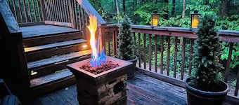 NEW! HOT TUB; FIREPIT; FAST WIFI; Near Blue Ridge, Blairsville, Folk School