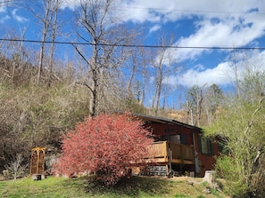 Exterior - Black Beary Creek Cabin by the GSMNP Parkway and Gatlinburg (Gatlinburg)