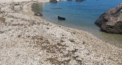 Quiet 3BR home in East Marion. Private beach access 3 min walk away.