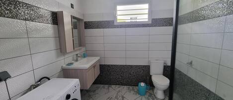 Hair dryer, towels, soap, toilet paper