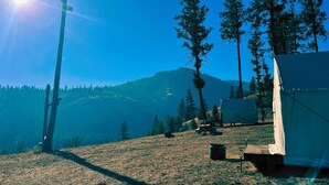A campsite with tents, a picnic table, and a fire pit.