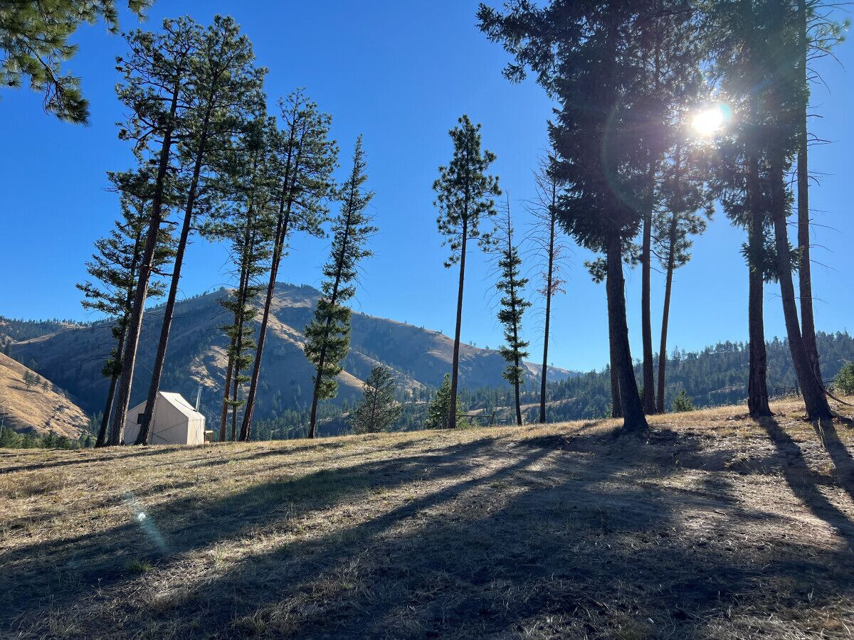 Overnatningsstedets område