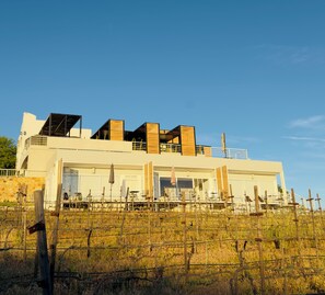 A modern building with a flat roof, large windows, and a vineyard in the foreground. - Hacienda Montero (Valle de Guadalupe)