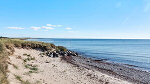 A beach with a sandy shore, pebbles, and sparse vegetation.
