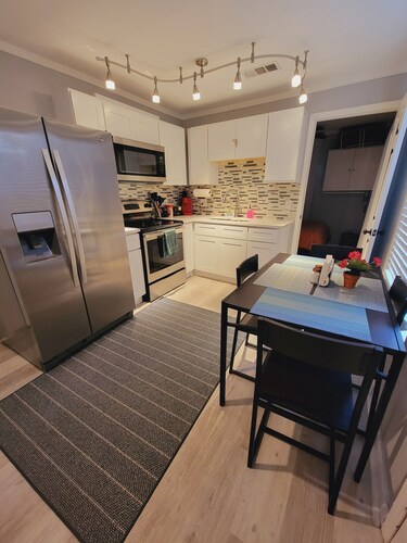 Cozy apartment in charming Denton walkable to TWU