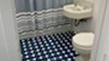 Secador de pelo, papel higiénico