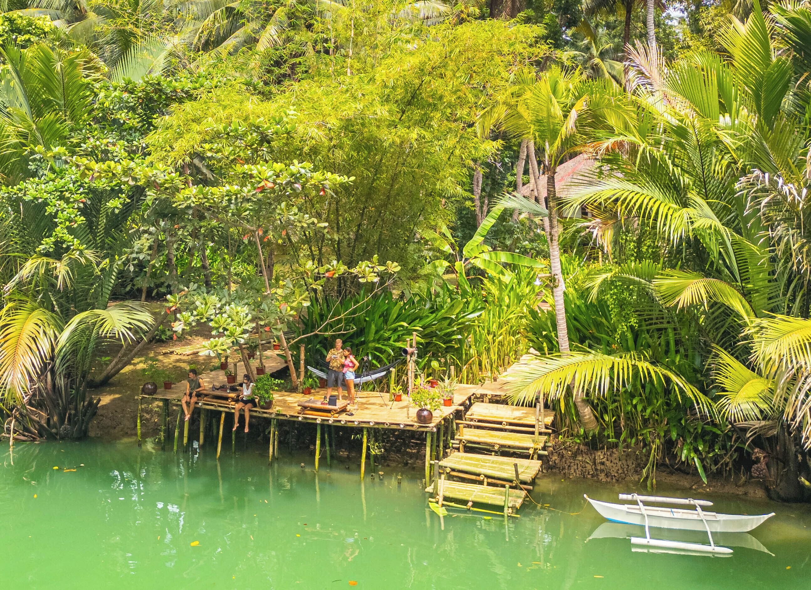 A wooden dock extending into a green body of water, surrounded by lush tropical vegetation.
