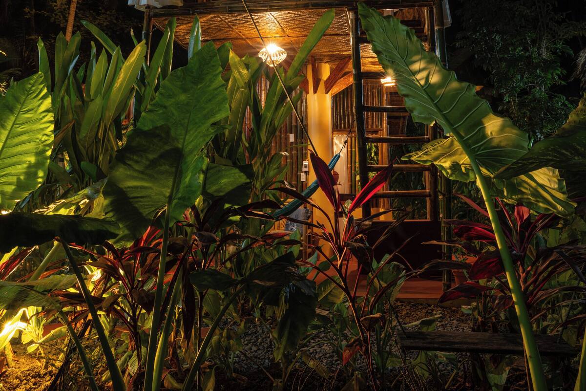 A thatched-roof structure with hanging curtains, surrounded by lush tropical vegetation.
