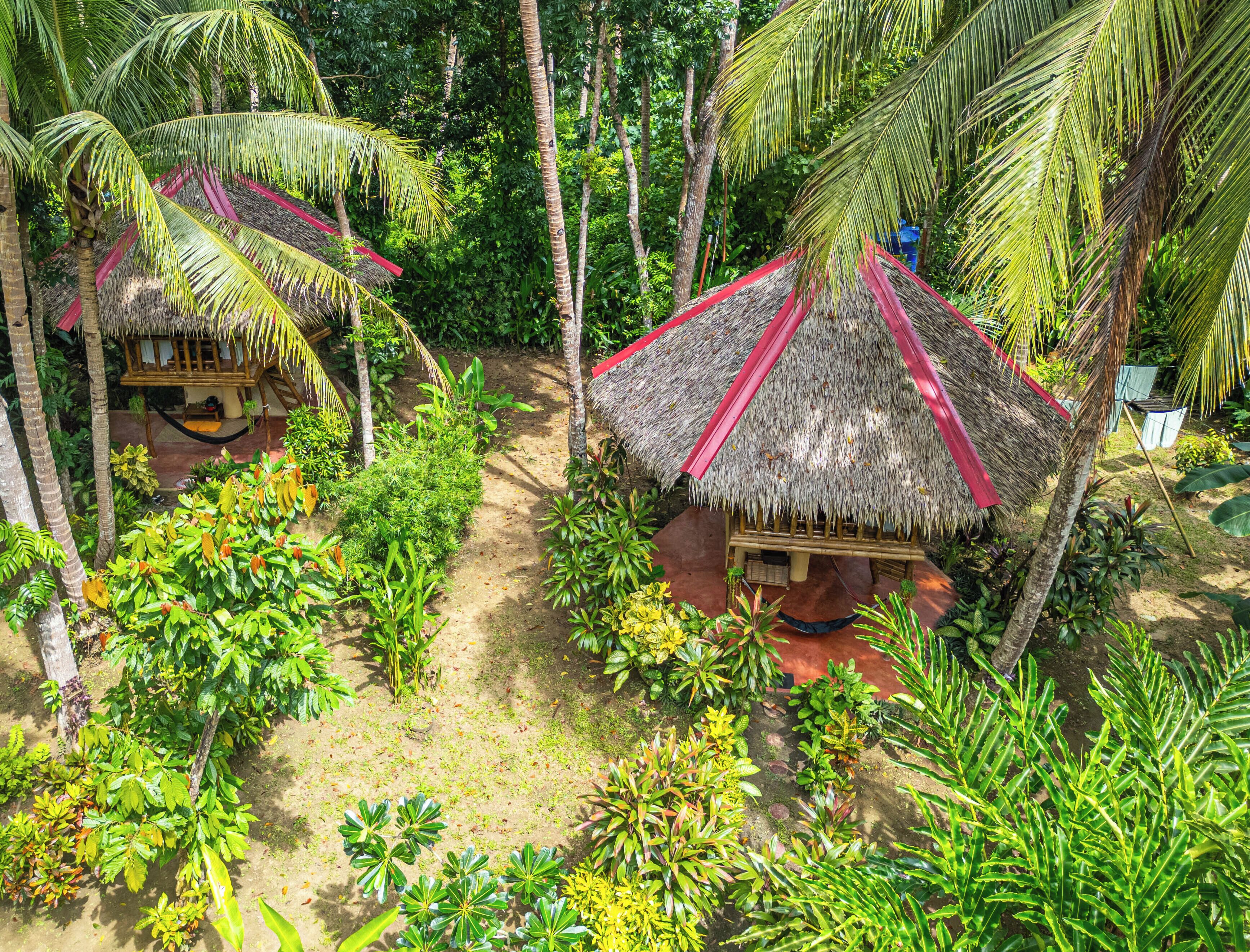 A tropical resort with thatched-roof huts surrounded by lush greenery.