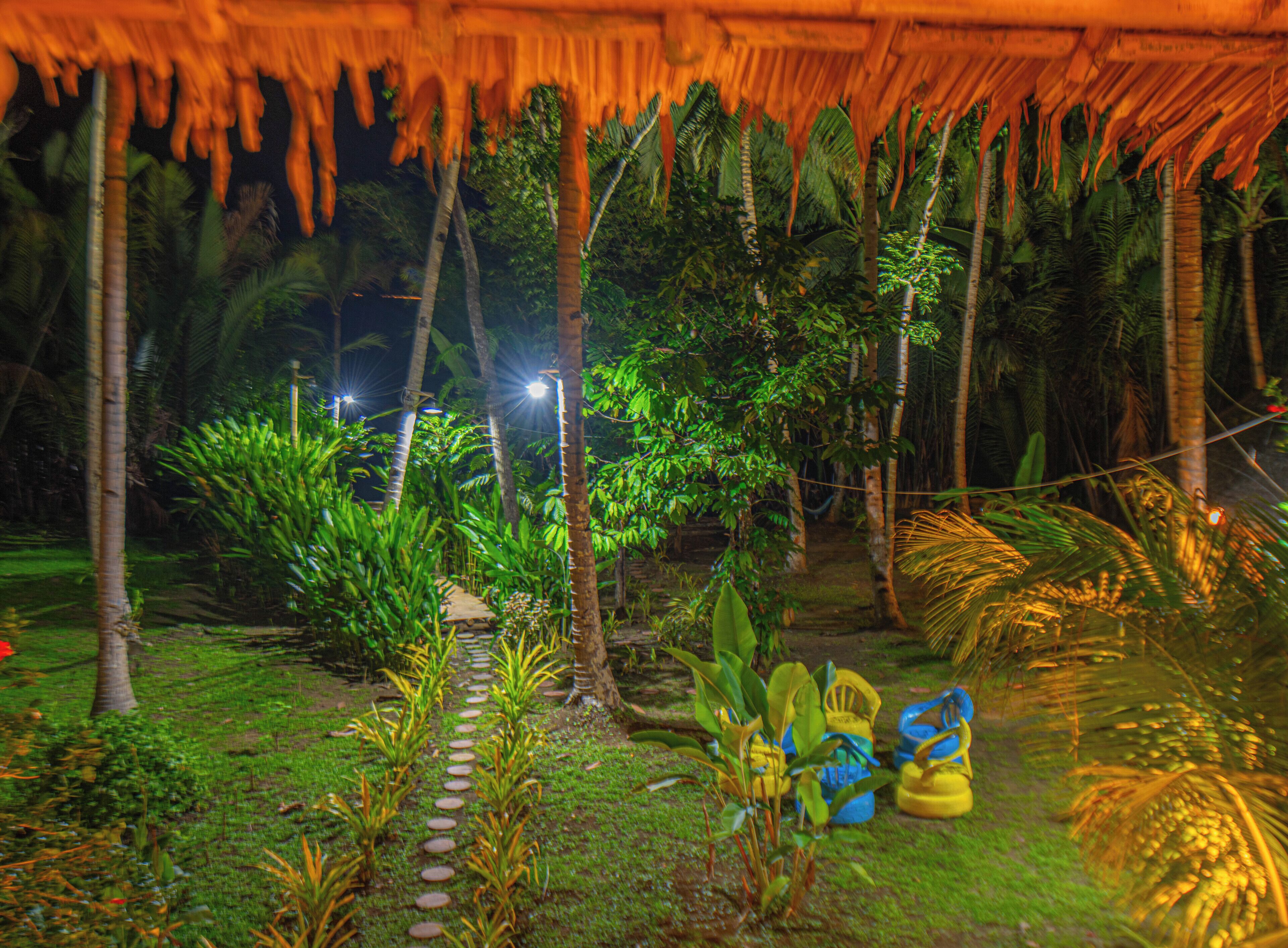 Un jardín tropical con una estructura de techo de paja, palmeras y un sendero de piedra.