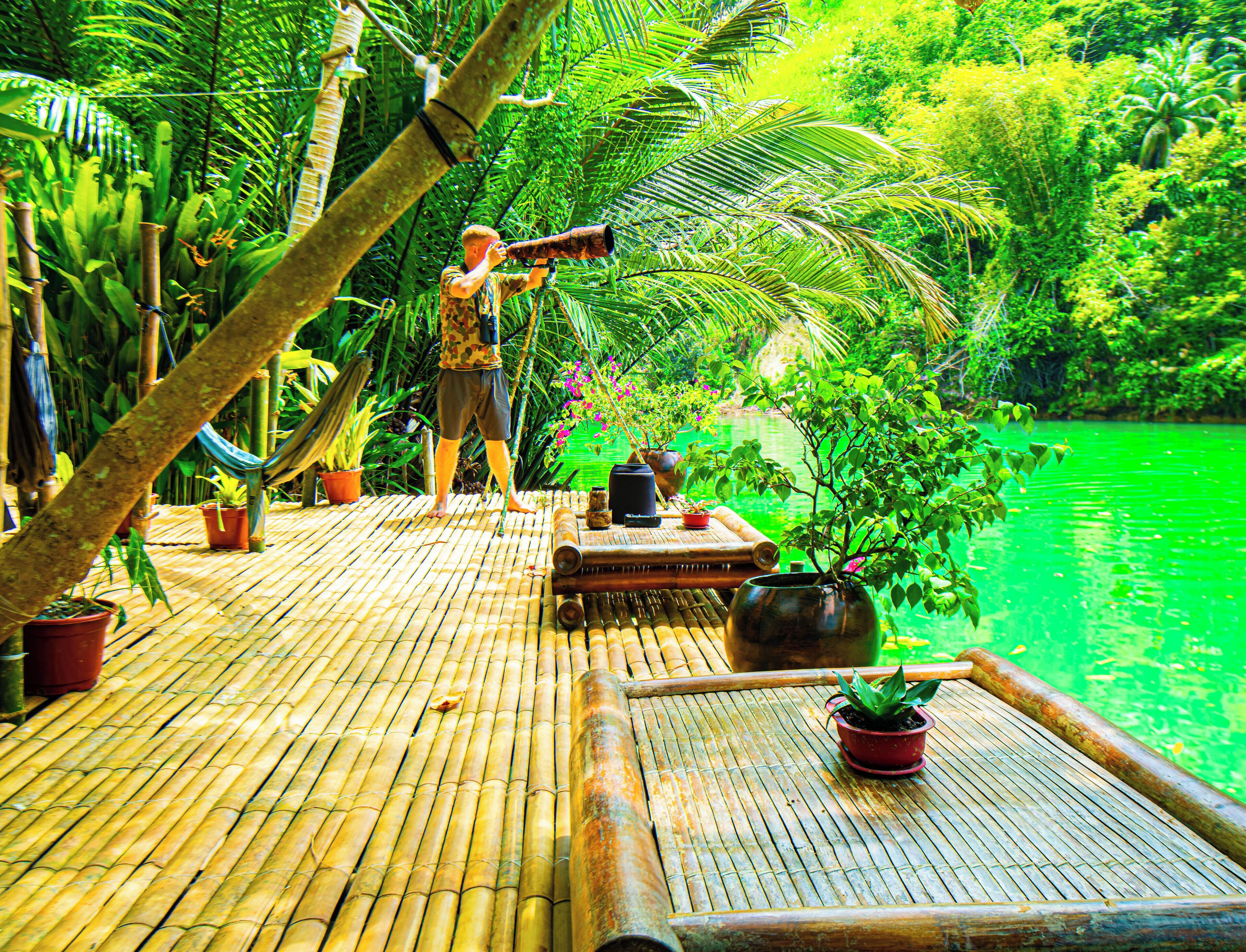A bamboo deck with potted plants and a person using binoculars.
