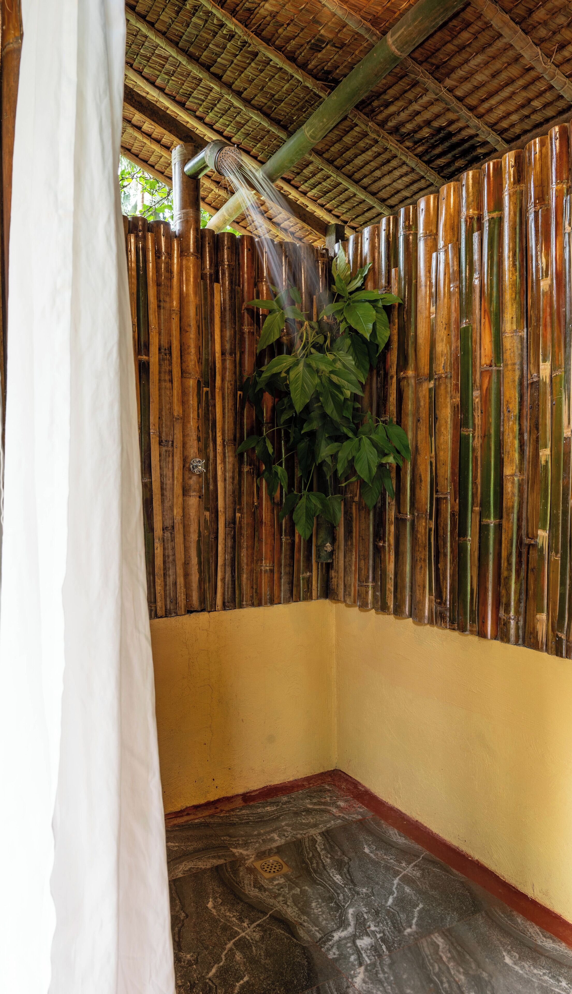 A room with a bamboo wall, a large plant, and a shower area.