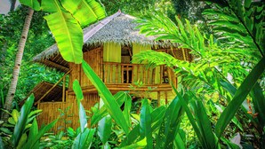 A bamboo house surrounded by lush greenery. - Water To Forest Ecolodge (Loboc)